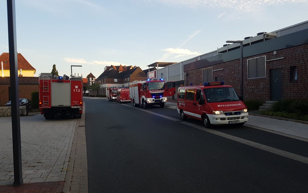 Feuer – Ausgelöste Brandmeldeanlage