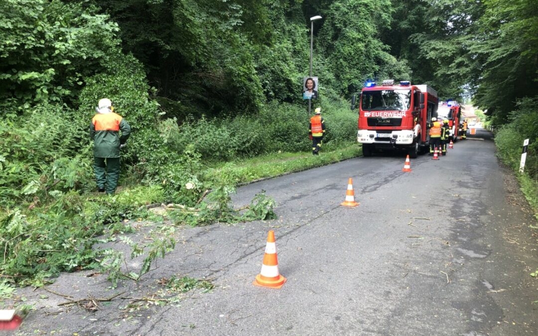 Hilfeleistung – Baum auf Straße