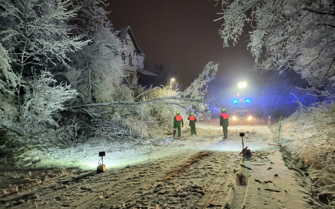 Hilfeleistung – Baum auf Straße