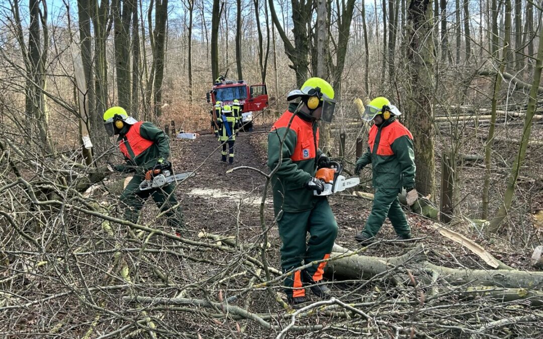 Hilfeleistung – Bäume drohen zu fallen