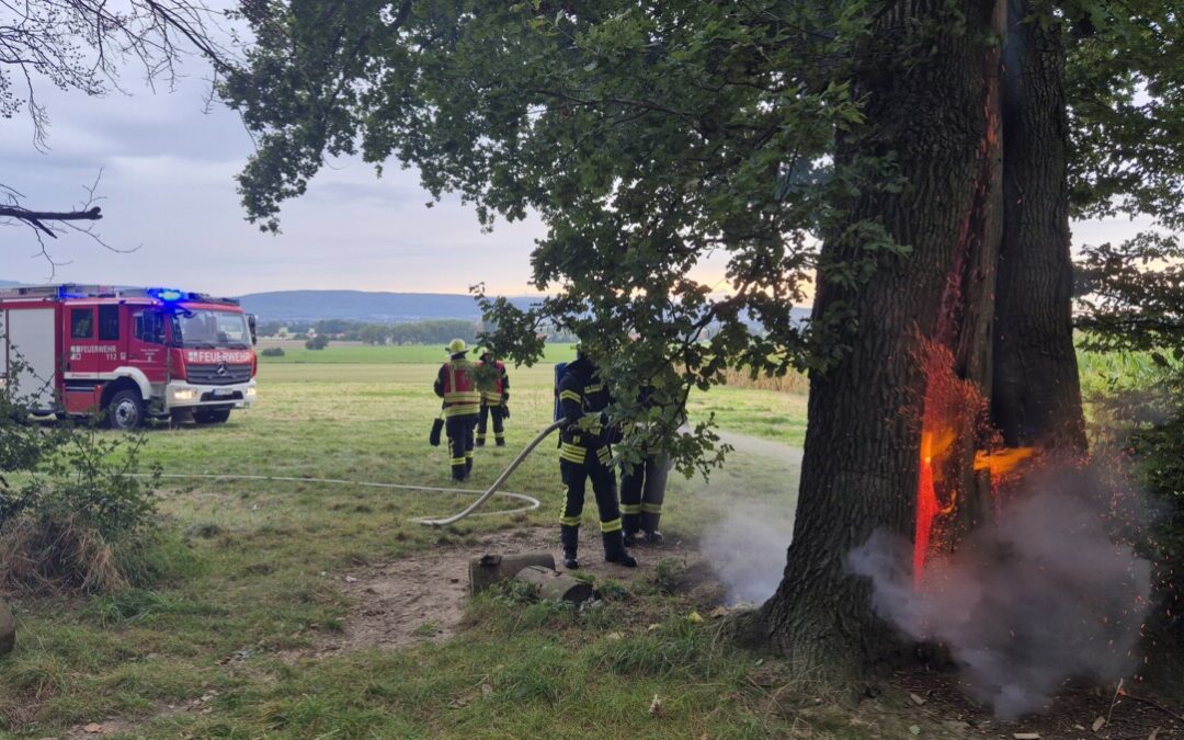 Feuer – brennender Baum